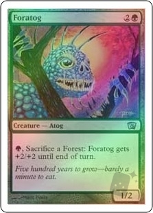 Foratog