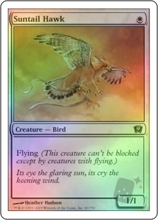 Suntail Hawk