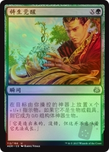 Lifecraft Awakening
