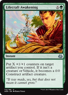 lifecraft awakening rules lifecraft awakening rules