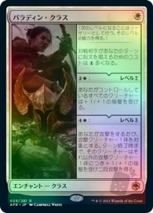 Paladin Class