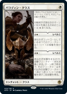 Paladin Class