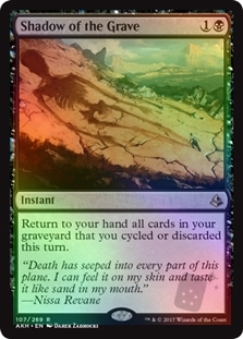 Shadow of the Grave