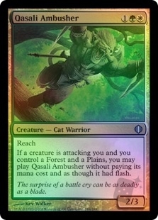 Qasali Ambusher