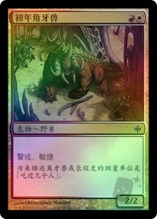 Cerodon Yearling