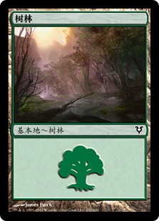 Forest(242)