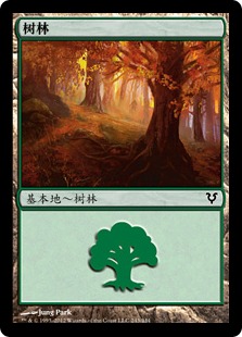 Forest(243)