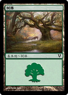 Forest(244)