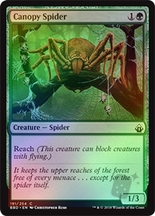 Canopy Spider