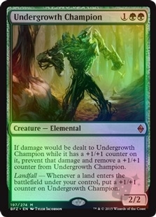 Undergrowth Champion