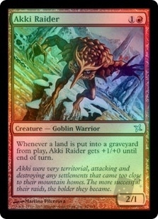 Akki Raider