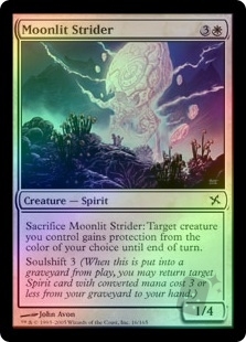Moonlit Strider