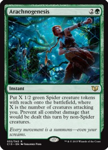 Arachnogenesis