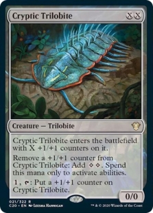 Cryptic Trilobite