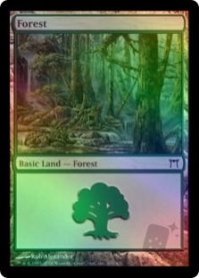 Forest (305)