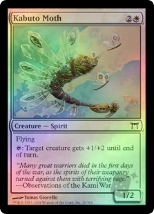 Kabuto Moth
