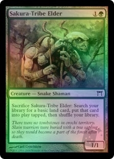 Sakura-Tribe Elder