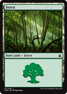 Forest (311)
