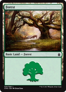 Forest (320)