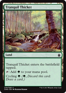 Tranquil Thicket
