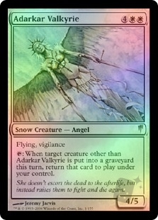 Adarkar Valkyrie