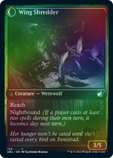 Bird Admirer // Wing Shredder