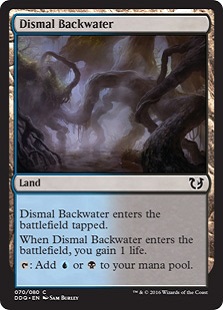 Dismal Backwater