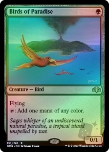 Birds of Paradise