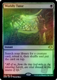 Worldly Tutor