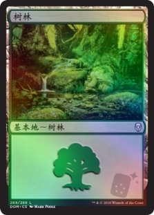 树林 (269)