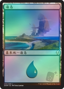 海岛 (255)