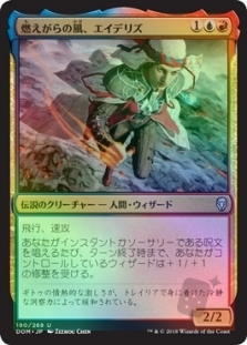 燃えがらの風、エイデリズ