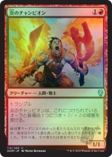 Champion of the Flame