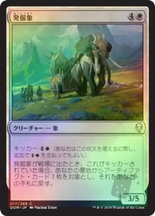 発掘象
