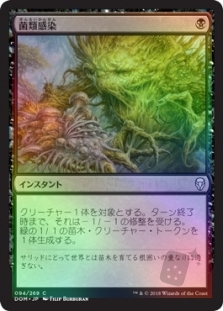 Fungal Infection