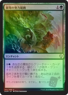 Fungal Plots