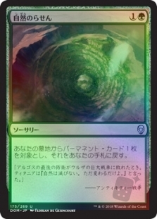 Nature's Spiral