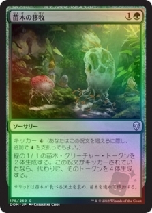 Saproling Migration
