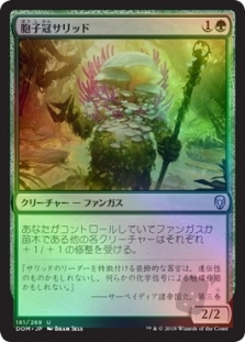 Sporecrown Thallid