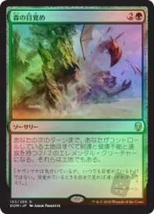 Sylvan Awakening