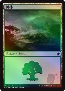 树林(263)