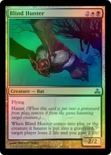 Blind Hunter