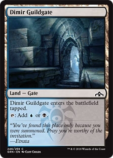 Dimir Guildgate (246)