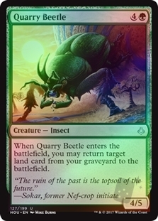 Quarry Beetle