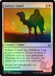 Solitary Camel