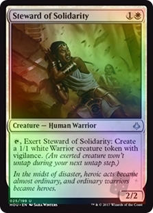 Steward of Solidarity