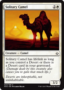 Solitary Camel