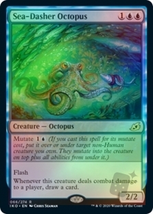 Sea-Dasher Octopus