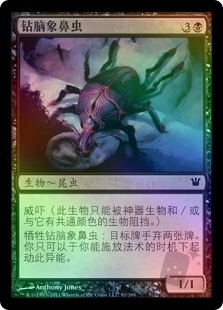 Brain Weevil