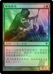 Woodland Sleuth